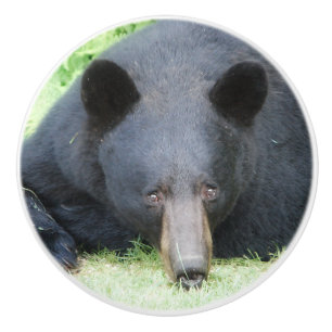 Ours Noir - Bouton en céramique "Cubby"