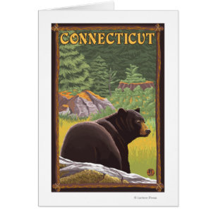 Ours noir Connecticut en forêt