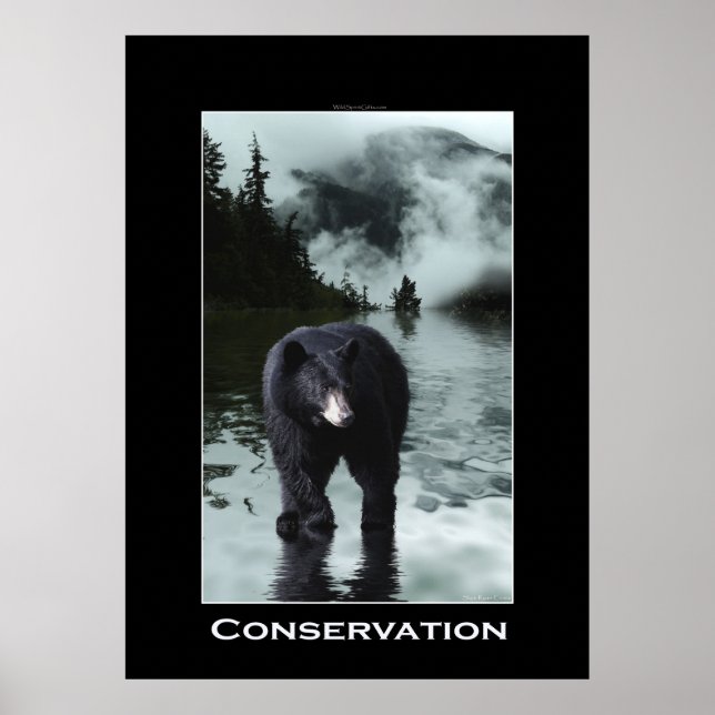 Ours noir CONSERVATION de la faune Poster (Devant)