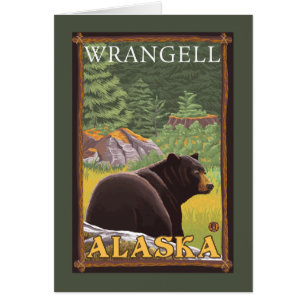 Ours noir dans la forêt - Wrangell, Alaska