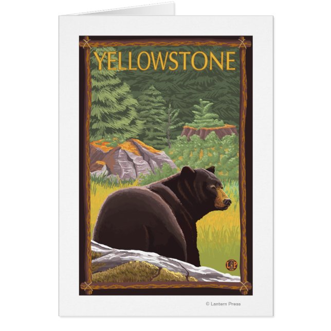 Ours noir en forêt - Parc national de Yellowstone (Devant)