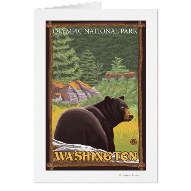 Ours noir en forêt - Parc national olympique, WA (Devant)