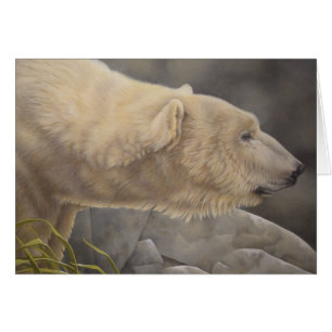 Ours polaire