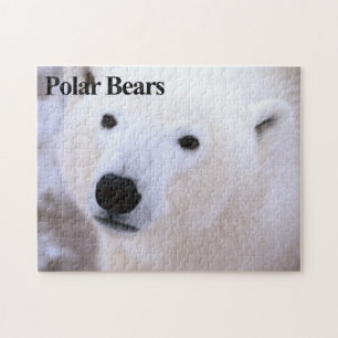 Ours polaire 11 Puzzle