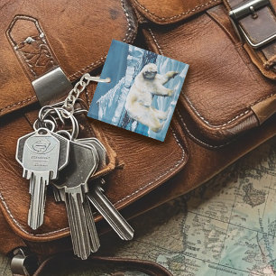 Ours polaire arctique bleu