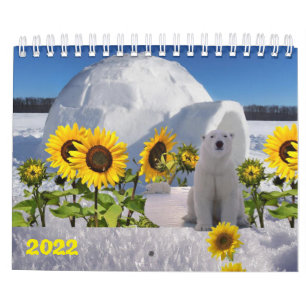 Ours polaire Calendrier 2022