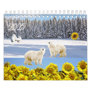 Ours polaire Calendrier 2025