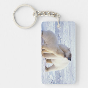 Ours polaire femelle avec ourson, meute