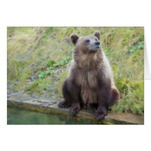 Ours : "Qu'est-ce que c'est que cette Chouette ?"
