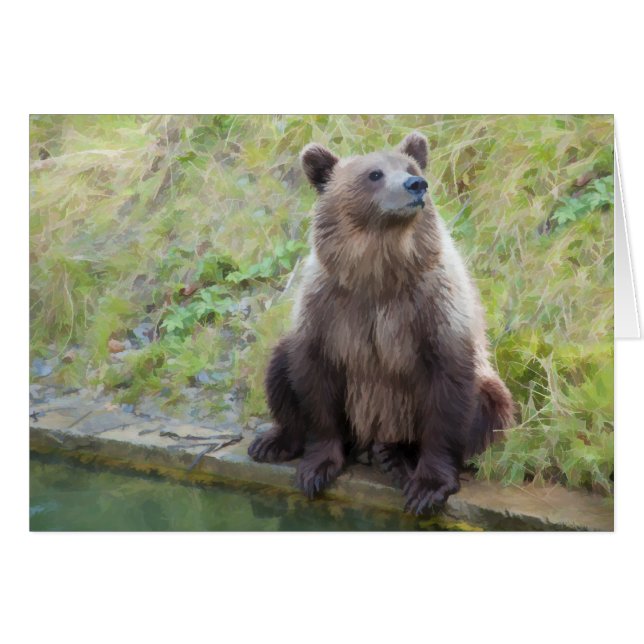 Ours : "Qu'est-ce que c'est que cette Chouette ?" (Devant horizontal)