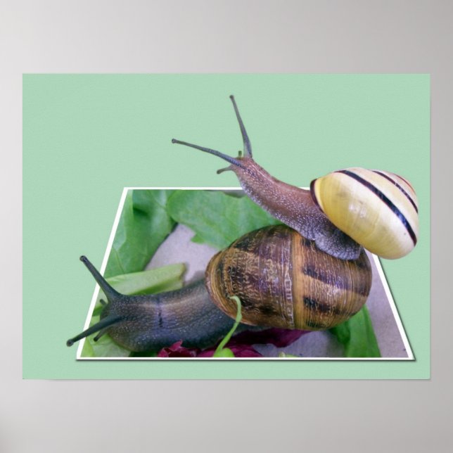 Out-of-Bounds Print Poster (Vorne)