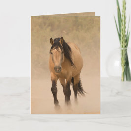 Out of the Dust Wild Horse Grußkarte Karte