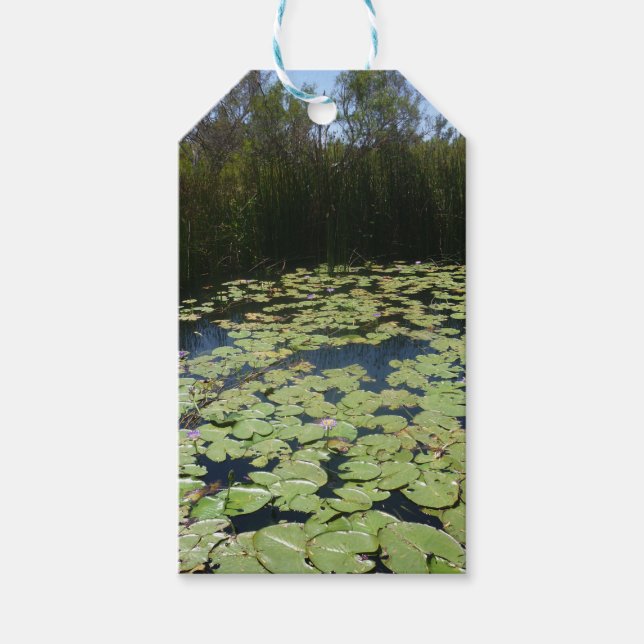 Outback Lily Pads Gift Tags Geschenkanhänger (Vorderseite)