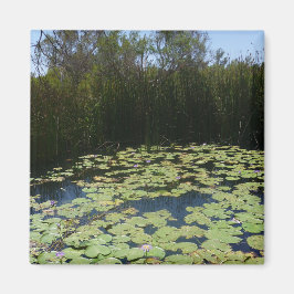 Outback Lily Pads Magnet