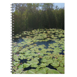 Outback Lily Pads Spiral Notebook Notizblock