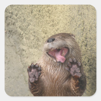 Ouvrez Large ! Autocollants Otter