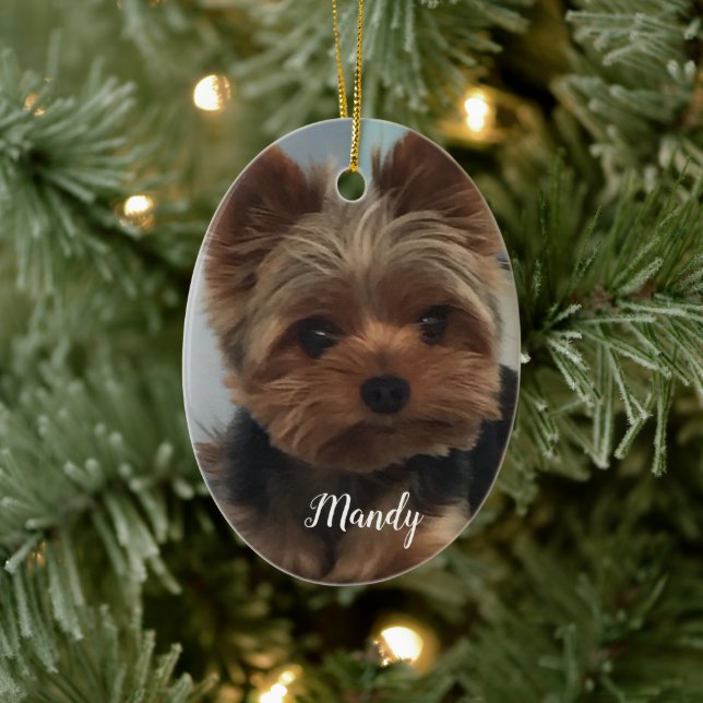 Oval Yorkie Ornament (Baum)