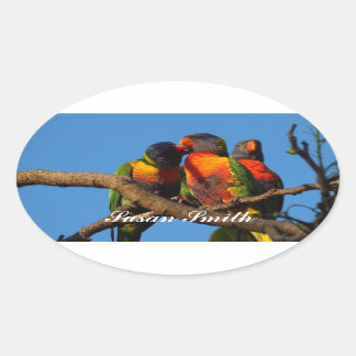 Ovale Aufkleber mit Foto - Rainbow Lorikeet