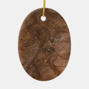 Ovale En Céramique Fossile d'archéoptéryx - ornement