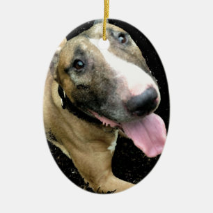 Ovale En Céramique Ornement anglais de bull-terrier