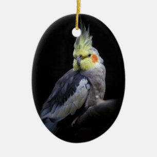 Ovale En Céramique Ornement Cockatiel
