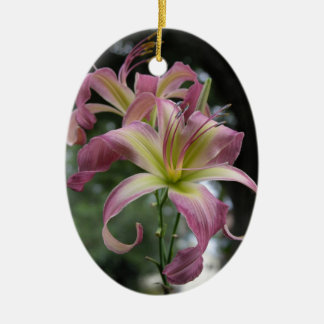 Ovale En Céramique Ornement de Daylily