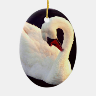 Ovale En Céramique Ornement du cygne muet