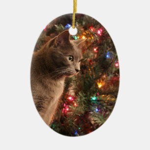 Ovale En Céramique Ornement gris de chat