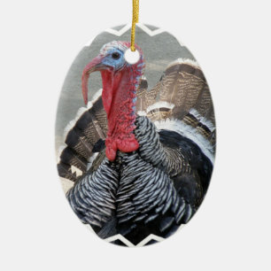 Ovale En Céramique Ornement sauvage d'image de la Turquie