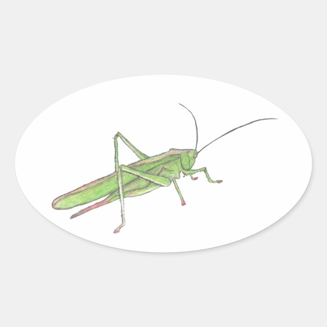 Ovale Sticker Grasshopper (Devant)