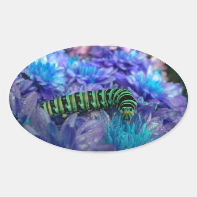 Ovale Sticker Imaginaire Caterpillar (Devant)