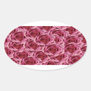Ovale Sticker Roses Rose