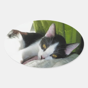 Ovale Sticker Tuxedo Cosy