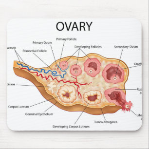 Ovarialweibchen Mousepad