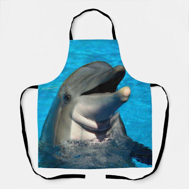 Oven Mitt und Pot Holder Schürze (Vorderseite)