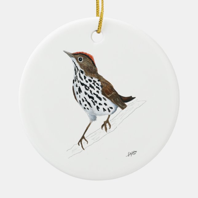 Ovenvogel Keramik Ornament (Vorne)