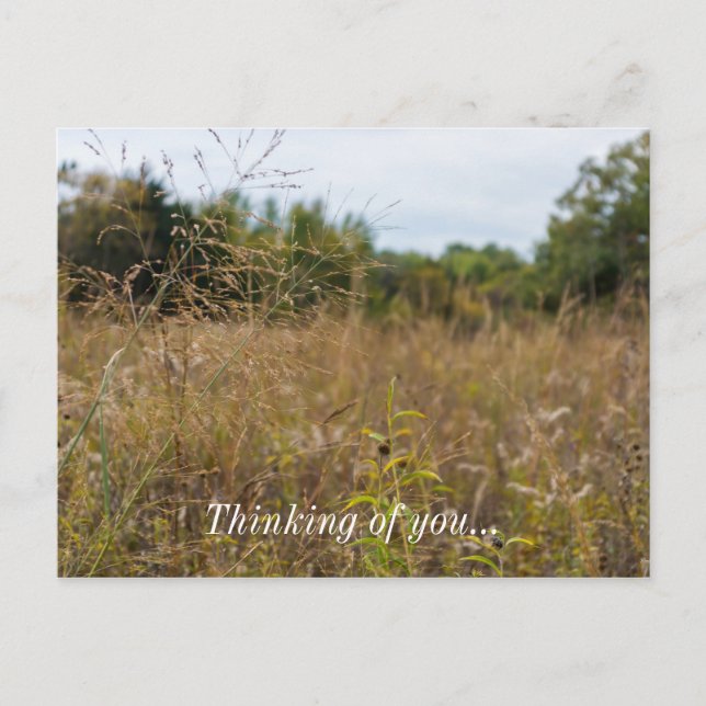 Overared Prairie Postkarte (Vorderseite)