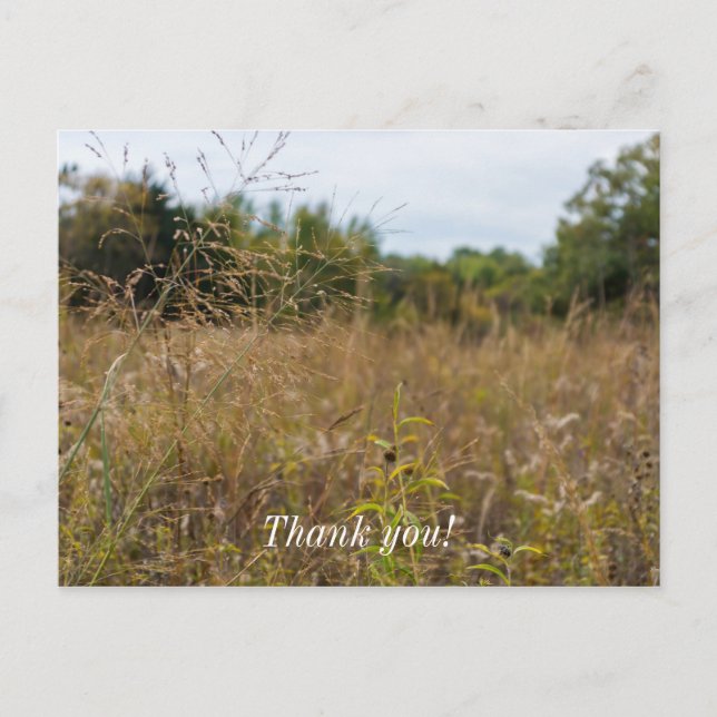 Overared Prairie Postkarte (Vorderseite)