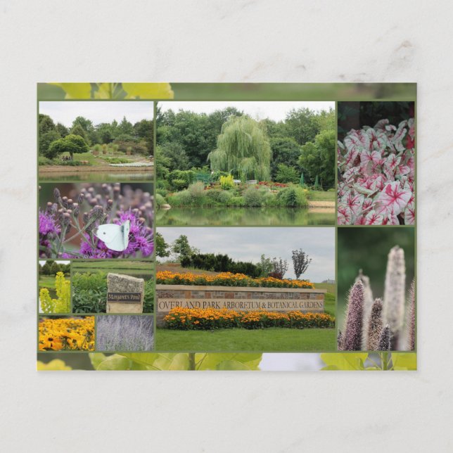 Overland Park Arboretum und Botanischer Garten Postkarte (Vorderseite)