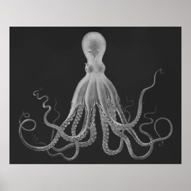 Oversifizierter Octopus Triptychdruck in Grau Poster (Vorne)