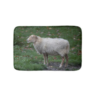 Ovis aries badematte