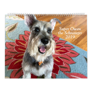 Owen superbe le calendrier du Schnauzer 2019