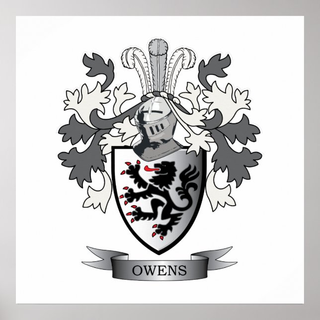Owens Family Crest Coat of Arms Poster (Vorne)