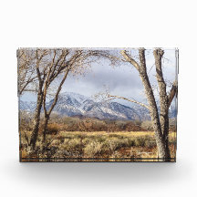 Owens Tal-Mountain View von Mt. Tom