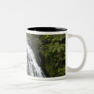 Owharoa-Fälle, Karangahake-Schlucht, nahe Paeroa, Zweifarbige Tasse