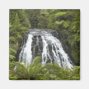 Owharoa Falls, Karangahake Gorge, bei Paeroa, Magnet