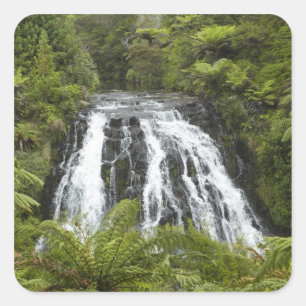 Owharoa Falls, Karangahake Gorge, bei Paeroa, Quadratischer Aufkleber