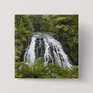 Owharoa Falls, Karangahake-Schlucht, bei Paeroa, Button