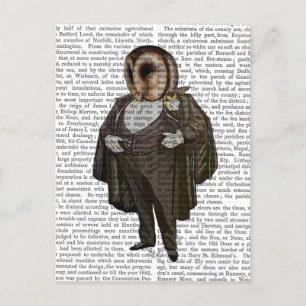 Owl an der Oper Postkarte