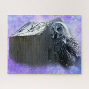 Owl Barn Shed